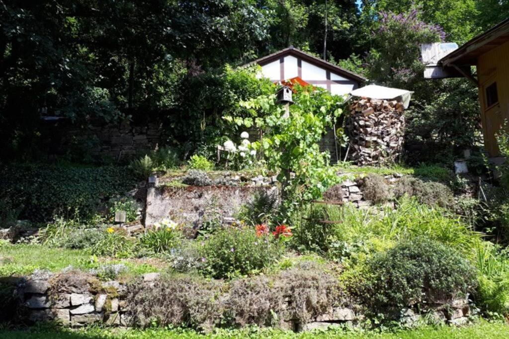 Eine Gemuetliche Ferienwohnung Mit Garten Bad Karlshafen Exterior photo